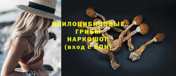 мдпв Тавда