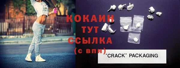 мдпв Тавда