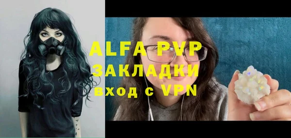 прущие грибы Бугульма