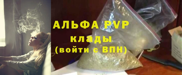 амф Верхний Тагил