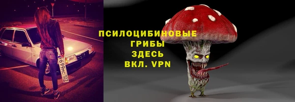 стаф Бронницы
