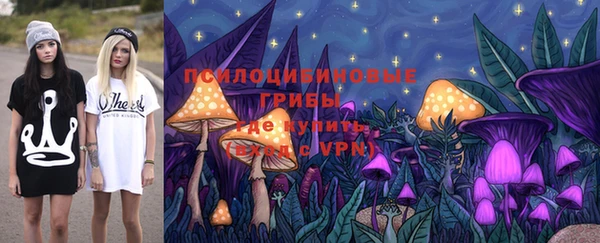 2c-b Бородино