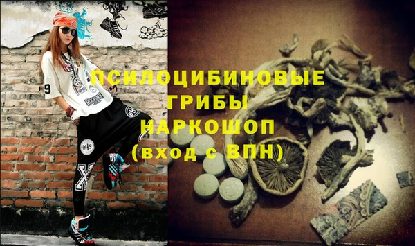 мдпв Тавда