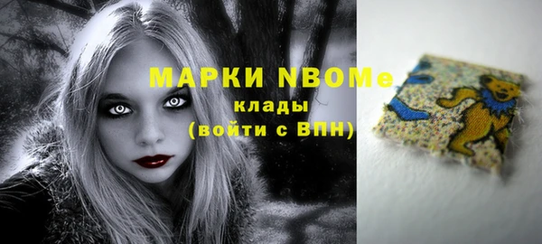 мдпв Тавда