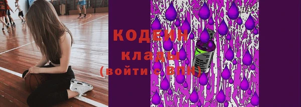 стаф Бронницы